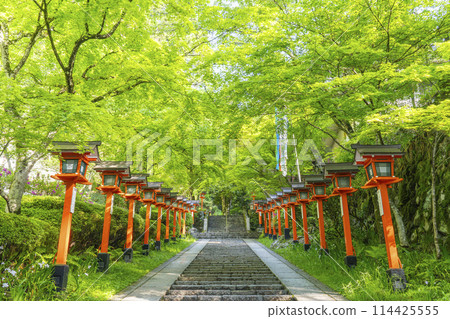 京都的新綠、鞍馬寺、九十九折路、石階和燈籠 114425555
