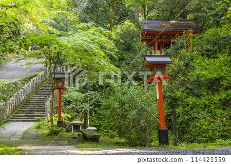 Fresh greenery in Kyoto: Tsujuku-bend approach to Yoshikura Inari Shrine Fresh greenery in Kyoto: Tsujuku-bend approach to Yoshikura Inari Shrine 114425559