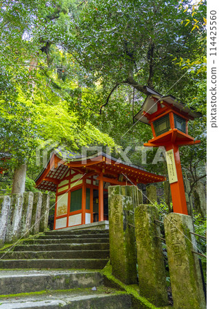 Fresh greenery in Kyoto: Tsujuku-bend approach to Yoshikura Inari Shrine Fresh greenery in Kyoto: Tsujuku-bend approach to Yoshikura Inari Shrine 114425560