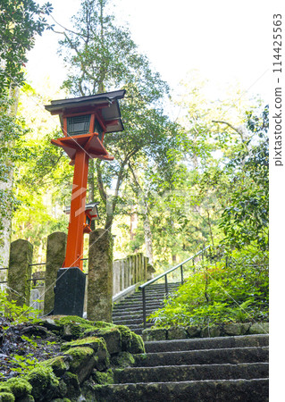 Fresh greenery in Kyoto - Kurama Temple, the winding path 114425563