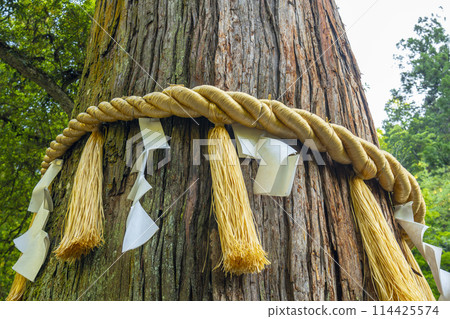 鞍馬寺由紀神社 (Yumyojin) 的參道 大杉先生 鞍馬寺由紀神社 (Yumyojin) 的參道 大杉先生 114425574