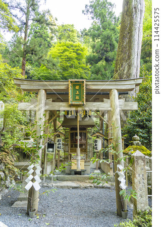 Approach to Kurama Temple, Yuki Shrine (Utsukumyojin), Iwakami Shrine Approach to Kurama Temple, Yuki Shrine (Utsukumyojin), Iwakami Shrine 114425575