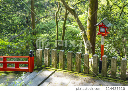Kurama Temple: Stone steps and lanterns on the winding approach to the temple Kurama Temple: Stone steps and lanterns on the winding approach to the temple 114425610
