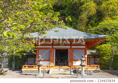 鮮綠的鞍馬寺光明神殿 114425634