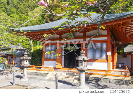 鮮綠的鞍馬寺光明神殿 114425635
