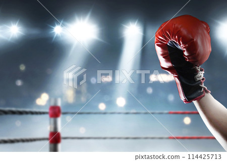 Portrait of a boxing man with a boxing glove in action 114425713