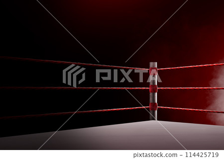Red rope on the boxing ring corner Red rope on the boxing ring corner 114425719