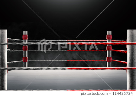 An empty ring with no people in the gym. Place for boxing, wrestling, presentation of match, competition An empty ring with no people in the gym. Place for boxing, wrestling, presentation of match, competition 114425724