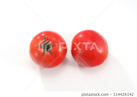 新鮮的西紅柿 新鮮的西紅柿 114426142