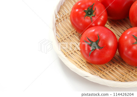 西紅柿在猴子服務 西紅柿在猴子服務 114426204