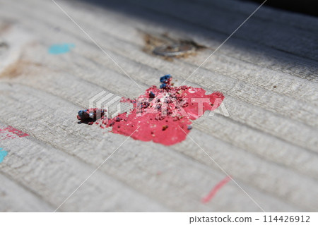 Red paint 114426912