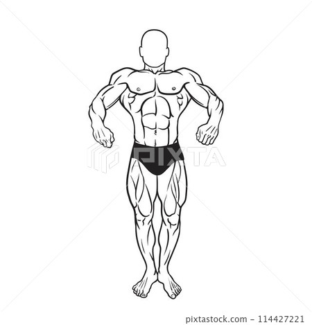Fitness men posing vector - Stock Illustration [114427221] - PIXTA