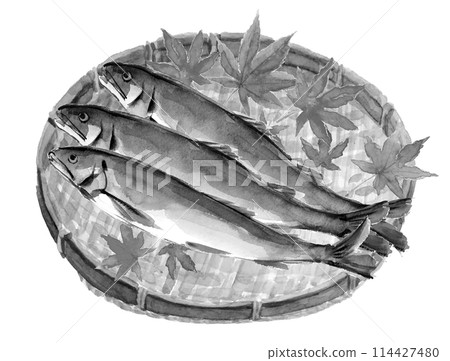 Monotone illustration of sweetfish served in a basket with watercolors and scattered maple leaves [hand-drawn] White background Transparent background 114427480