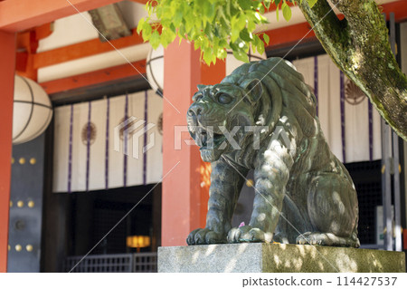 鞍馬寺、本殿近堂、阿雲之虎的新綠 114427537