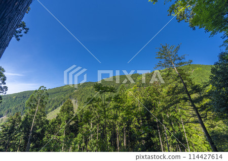 Okunoin Approach Kurama Kifune Trail 114427614