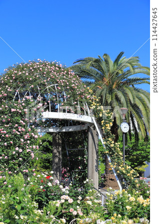 Seiwabara Park Aoi, Adachi-ku, Tokyo Seiwabara Park Aoi, Adachi-ku, Tokyo 114427645