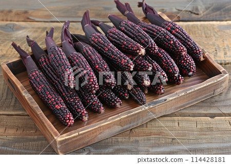 Vibrant Purple Corn Cobs on Wooden Tray in Rustic Setting 114428181