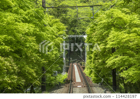 睿山電車「紅葉隧道」 市原站～二之瀨站 114428197