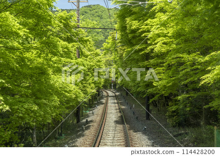 睿山電車「紅葉隧道」 市原站~二之瀨站 睿山電車「紅葉隧道」 市原站~二之瀨站 114428200