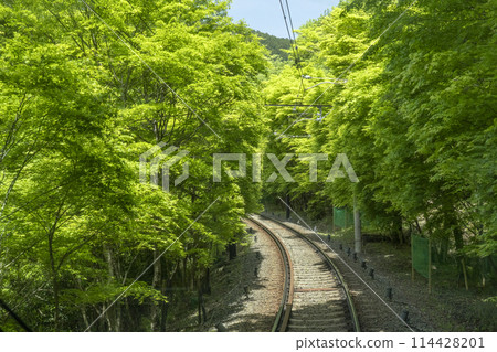 睿山電車「紅葉隧道」 市原站~二之瀨站 睿山電車「紅葉隧道」 市原站~二之瀨站 114428201