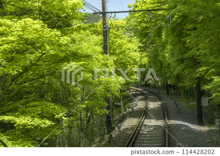 睿山電車「紅葉隧道」 市原站～二之瀨站 114428202