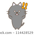 Surprised black cat 114428529