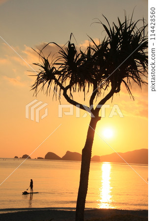 黃昏沙灘嬉戲-沖繩夕陽美景 黃昏沙灘嬉戲-沖繩夕陽美景 114428560