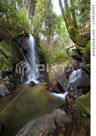 Immovable life extension waterfall (Sakurai City, Nara Prefecture) Immovable life extension waterfall (Sakurai City, Nara Prefecture) 114428563