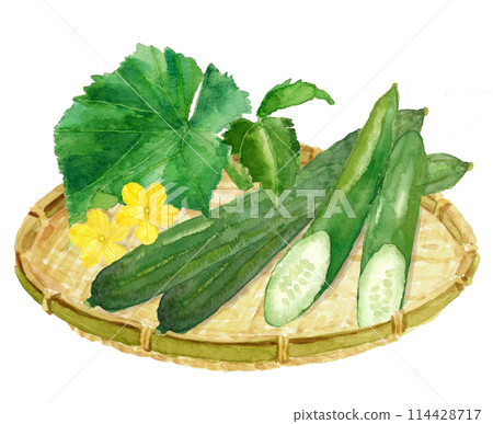 一組水彩畫的漏勺上的黃瓜和花朵插圖【手繪】白色背景透明背景 114428717