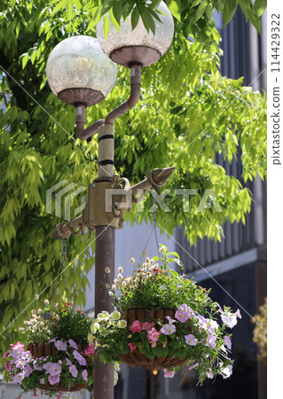 Street corner 114429322