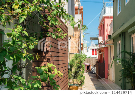 Summer of Shek O village in Hong Kong 114429714