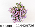 從上方看白色背景的紫色繡球花佈置 114429726