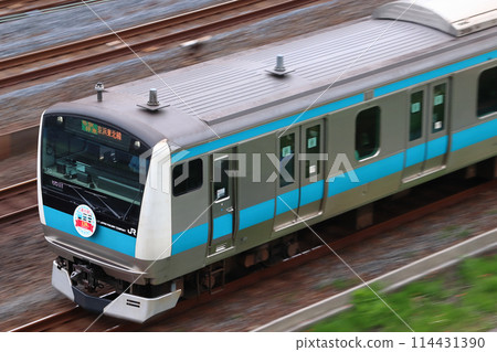 [JK] Keihin Tohoku Line E233 Series Train (120th Anniversary of Kamata Station Opening) 114431390