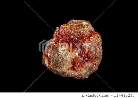 Macro mineral stone Vanadinite on a black background Macro mineral stone Vanadinite on a black background 114432235