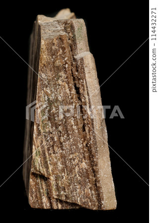 Macro stone mineral petrified wood on a black background 114432271
