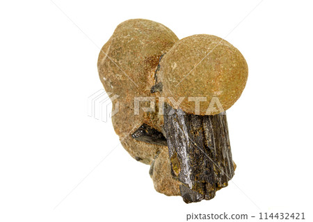 Macro stone Prehnite mineral on white background Macro stone Prehnite mineral on white background 114432421
