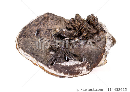 Macro stone Vivianite mineral on white background Macro stone Vivianite mineral on white background 114432615
