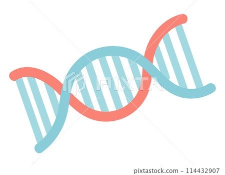 Dna molecule in flat design. Genetic molecule structure with connections. Vector illustration isolated. 114432907