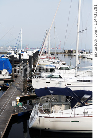 Boats moored in the marina Boats moored in the marina 114433281