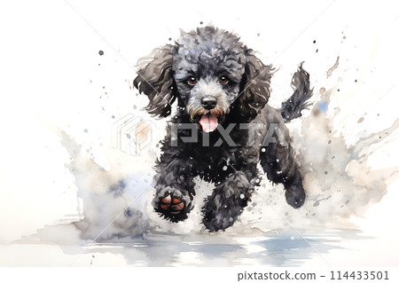 Watercolor painting of cute poodle dog on a clean background. Pet. Animals. Mammals. Illustration, Generative AI. 114433501
