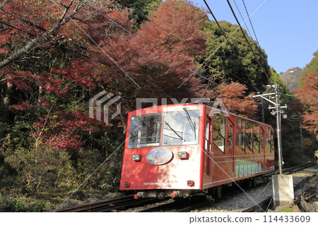 秋天筑波山的紅色纜車在樹葉鮮紅的樹林中攀爬。 114433609