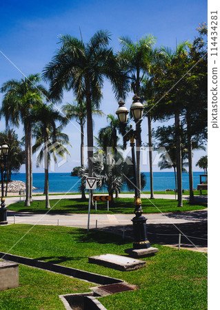 Tropical beach lined with palm trees Tropical beach lined with palm trees 114434281