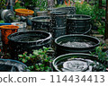 Rainwater collecting in barrels during a heavy downpour in a tropical backyard setting 114434413