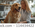 Friendly Dog at the Vet Clinic 114434422