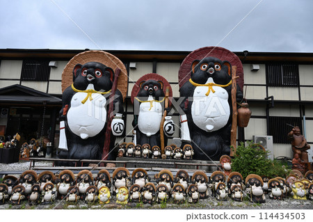 Shogaku raccoon Shogaku raccoon 114434503