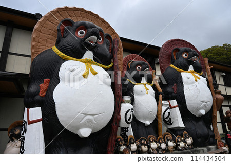 Shogaku raccoon Shogaku raccoon 114434504