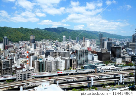 View from Kobe Port Tower (photographed in May 2024, after renovation) View from Kobe Port Tower (photographed in May 2024, after renovation) 114434964
