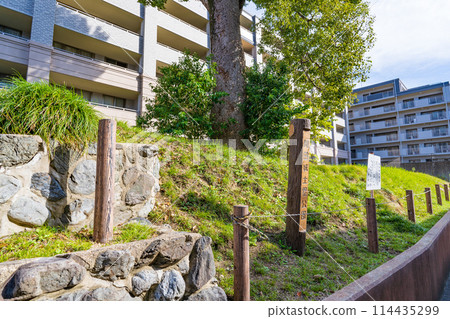 京都府長岡京市開田城的土石方修復體開田城土方公園 京都府長岡京市開田城的土石方修復體開田城土方公園 114435299