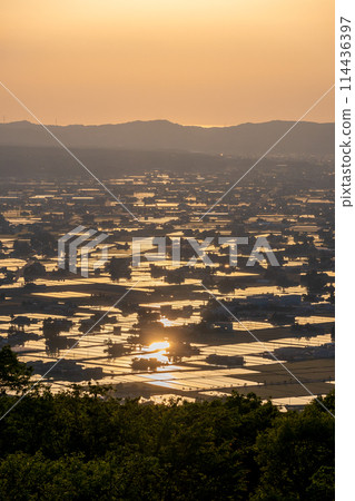 The scattered villages of the Tonami Plain dyed in the sunset (May) | Photographed from the Scattered Village Observatory | Tonami City, Toyama Prefecture 114436397