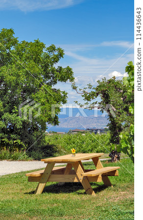 Wooden table in recreation area with beautiful overview of the lake Wooden table in recreation area with beautiful overview of the lake 114436643
